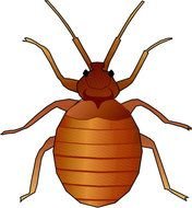 Animated Bugs Clip Art N2