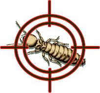 Pest Control Clip Art N15