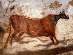 Lascaux Cave Paintings drawing