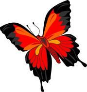 Butterflies Clip Art drawing