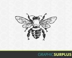 Vintage Honey Bee banner drawing