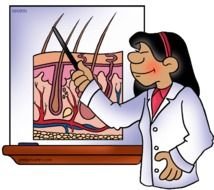 Integumentary System