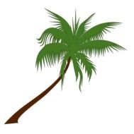 green Coconut Palm drawing
