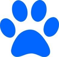Du Logo