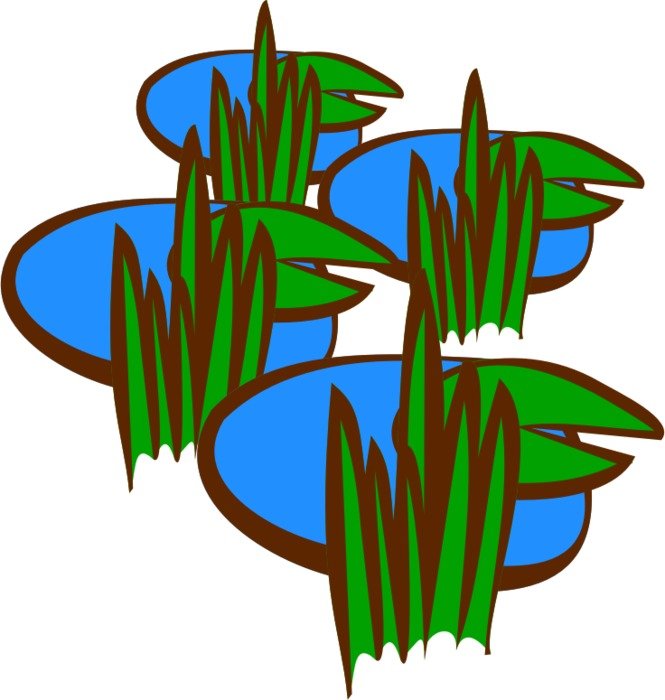 Swamp Clip Art N4