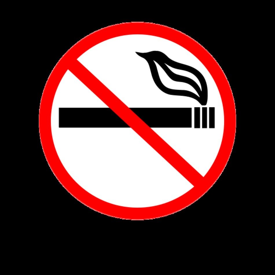 No Smoking Sign N20