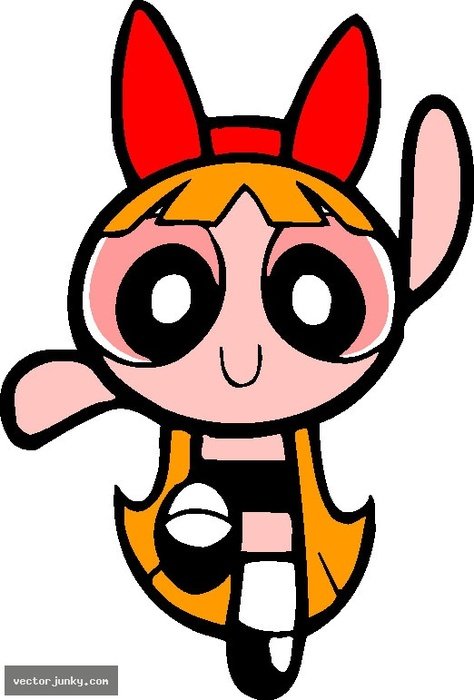 Powerpuff Girls Blossom N2