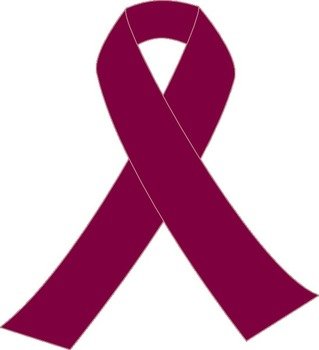 Ribbon Clip Art N13