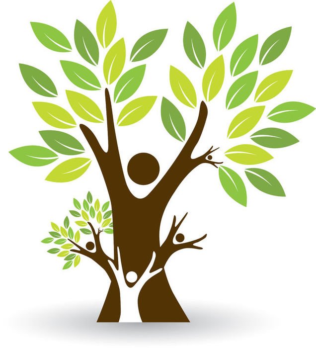Family Tree Clip Art N29