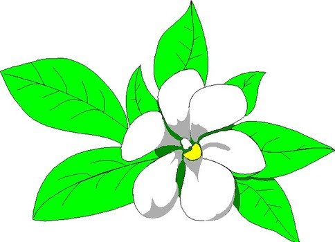 Magnolia Flower Clip Art N3