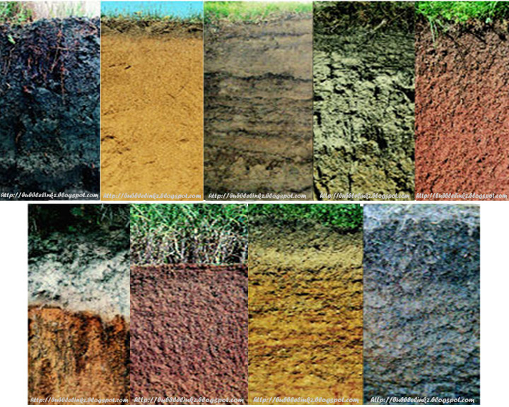 4 Different Types Of Soil free image download