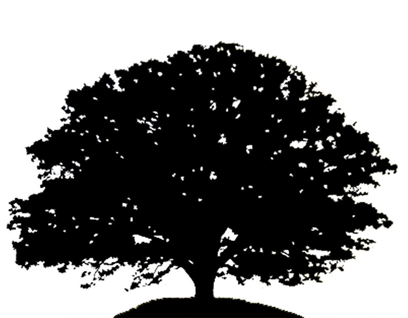 Drawing of the black Tree Silhouette free image download