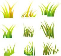 bushes of grass on a white background