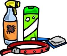 Dog Clip Art N104