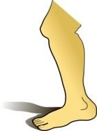 Cartoon Legs