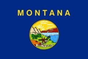 flag of Montana state