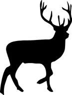 Buck Deer Clip Art drawing
