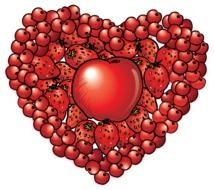 heart of red berries as a graphic illustration