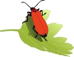 Cardinal Clip Art drawing