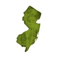 New Jersey Icon 028854