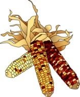 November Clip Art N5