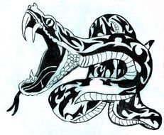 rattlesnake for tattoo