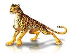 isolated graphic leopard