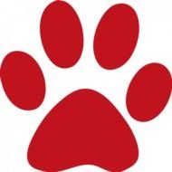Cat Paw Print, red drawing