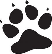 Paw Print N4