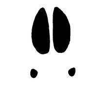 Pig Hoof Print Clip Art