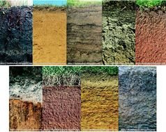 4 Different Types Of Soil