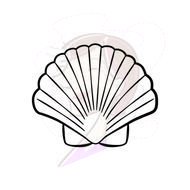 Sea Shell Clip Art N24