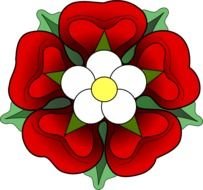 Tudor Rose N3