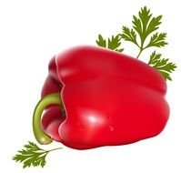 Bell Pepper Clip Art N5