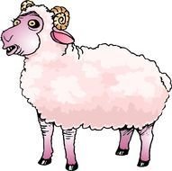 Sheep Clip Art N24