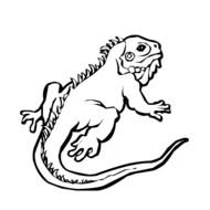 Iguanas Coloring Book