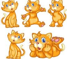 Cartoon Ginger Cat drawing