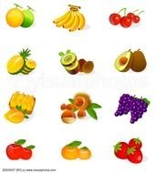 Types Of Different Kind Fruits