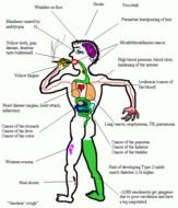 Smoking Effects On Your Body