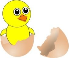 Cartoon yellow Chick Coming Out Of Egg