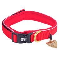 Dog Collar Red drawing