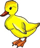 drawing of a yellow duckling on a white background