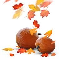 wallpaper with two pumpkins and autumn leaves