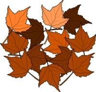 Fall Maple Leaves Clip Art