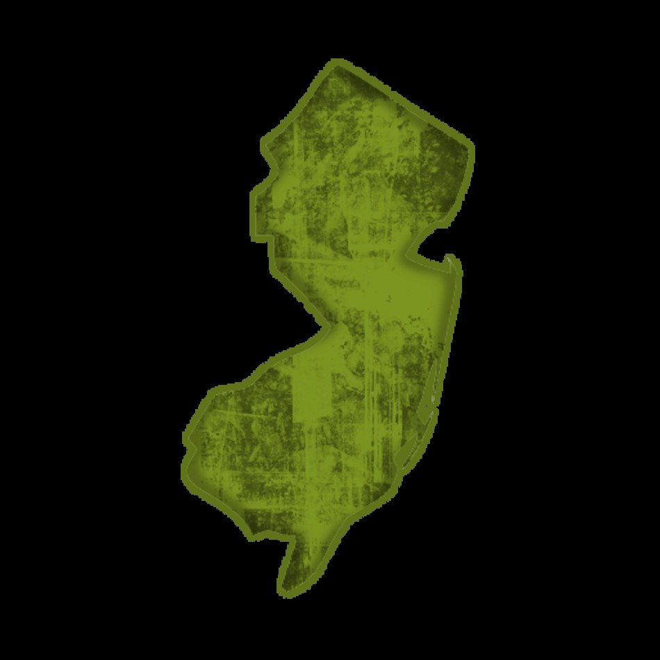 New Jersey Icon 028854