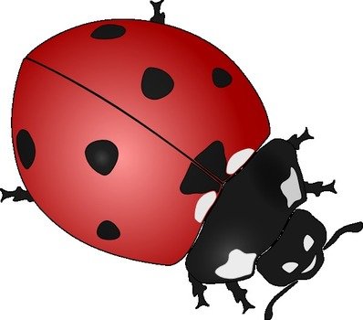 Cartoon Ladybug Clip Art N22