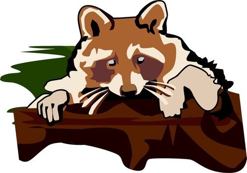 Raccoon Clip Art N7