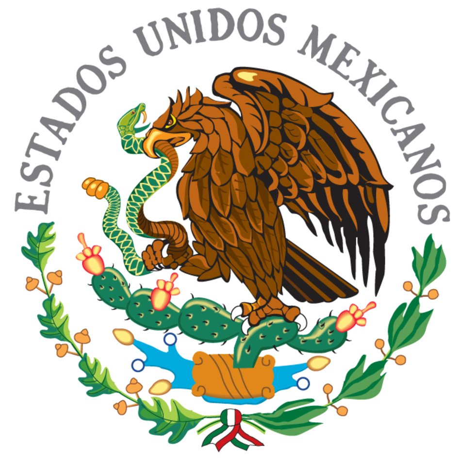 Mexican Flag N3