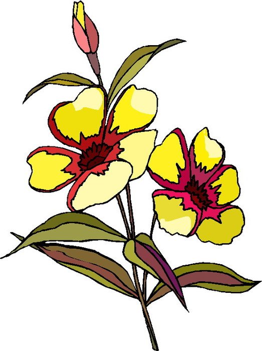 Flower Plant Clip Art N8