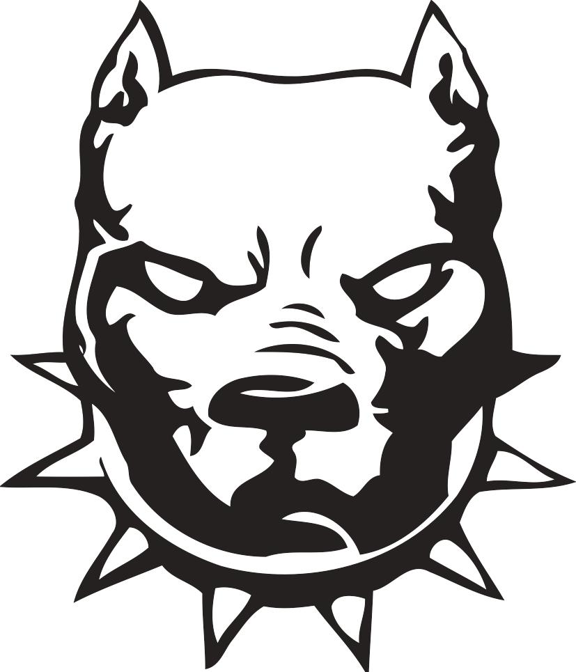Pitbull, angry Dog head, drawing free image download